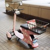 東京EVバイクシェア：FUTURE GOGO!