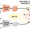 概念の表現