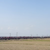 函館本線・峰延～光珠内間を行く貨物列車。2023年4月10日。