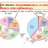 違反別の分析