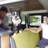 愛犬とのハイエース車中泊旅を手軽に叶える、ライトなバンライフモデル「HACO×DOG」