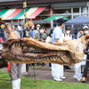 白馬名物「豚の丸焼き」