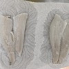 あらかじめ準備しておけば車内で調理どころか魚の下処理もできちゃいます。
