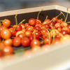 野菜や果物も収穫可能