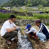 農業体験の様子
