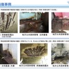 橋梁の損傷事例