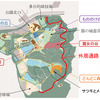運行ルート