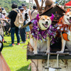 今や家族の一員となった犬たち。ハロウィンの仮装をしてフォトスポットで記念撮影。