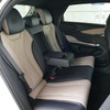 BYD ドルフィン