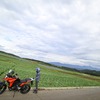スズキ Vストローム250SX