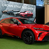 CROWN STYLE PARK