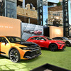 CROWN STYLE PARK