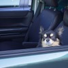 とつぜん異変が！ ドライブ前にぜひ愛車の点検を～Weeklyメンテナンス 人気記事ランキング～