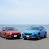 わんダフルカー・オブ・ザ・イヤー 2023-2024 国産車編