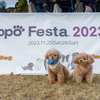 ホンダアクセスが「Honda Dog」 ブランドでしっぽフェスタに特別協賛。