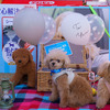 愛犬家の認知向上がイベント参加の目的だと言う。