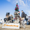 Honda Dog/ホンダアクセス（Sippo Festa 2023 秋）