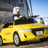 Honda Dog/ホンダアクセス（Sippo Festa 2023 秋）