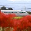 小田急VSE