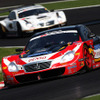 【プレゼント】SUPER GT 第3戦 入場券---平手選手とクレインズが紹介する見所