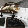 日産「MARCH Patissier concept」