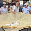衛星データ活用で自然災害リスク低減へ、東京海上日動とQPS研究所が協業
