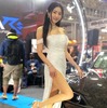 美女40人75枚！ 今年も女神の季節がやってきた（その1）…東京オートサロン2024