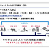 重要市場インドにおけるスズキの成長戦略とは…スズキ 鮎川堅一副社長［インタビュー］
