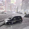 東京（2月5日）