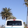 Cal’s Motor Sonova