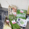 筆者（当編集部員）が、まなご出張マルシェで購入した食材。どれもこれも本当に新鮮で美味しく、また食べたい！　と筆者は本気で思っている