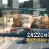イエローハットTVCM：『猫って予想外』