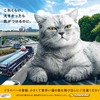 イエローハット「巨大猫ポスター」