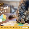 イエローハット：猫パンチ募金