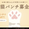 イエローハット：猫パンチ募金
