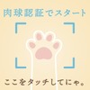 イエローハット：猫パンチ募金