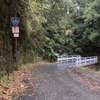 国道425号線