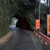 国道425号線
