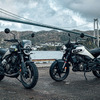 ハスクバーナ スヴァルトピレン 401（左）とヴィットピレン 401（右）