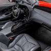 レズバニ・ビースト 新型