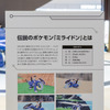 ゲーム中に登場するミライドンは空を飛んだり、水中を走ったりもできる。
