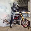 インディアンFTR x RSD Super Hooligan