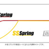 ラルグスが追従性重視のハイエンド直巻スプリング「SSスプリング」を販売開始