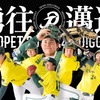 茨城トヨペット硬式野球部