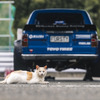 FURSTY / Red Bull with Team Magic TOYO TIRES Drift