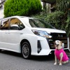 愛犬とドライブするのに役立つクルマの機能＆装備とは？ その1