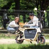 愛犬と旅する電動バイク『Doggie』を発売…愛犬家夫婦が考案