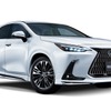 MODELLISTA NX