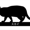 シルエットサンプル