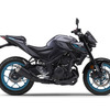 ヤマハ MT-25 ABS 2024年モデル（ダークブルーイッシュグレーメタリック8）